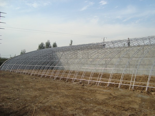 如何消除蔬菜大棚內的霧氣